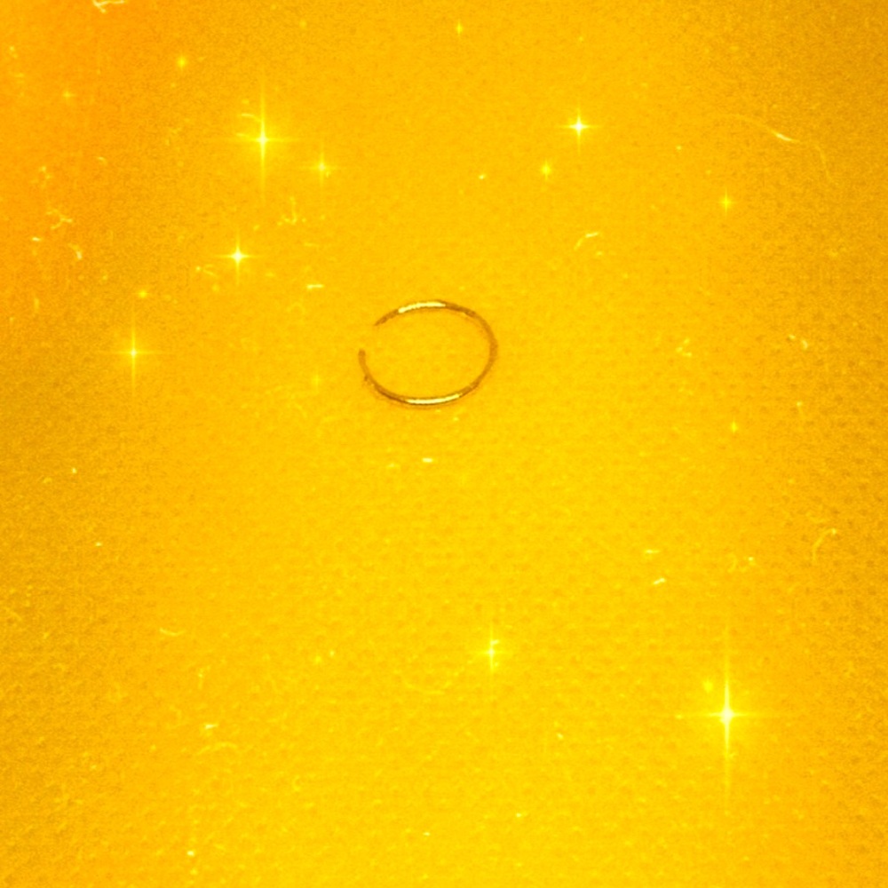 Simple sweet nose ring